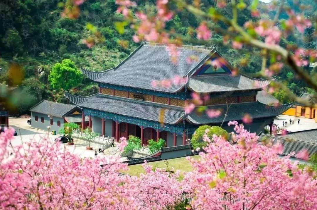 “寺”曾相识，禅音共鸣--公信网络广播解决方案