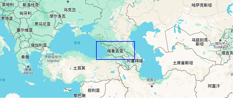 格鲁吉亚各领域国际合作交流会议，公信荣幸助力其中