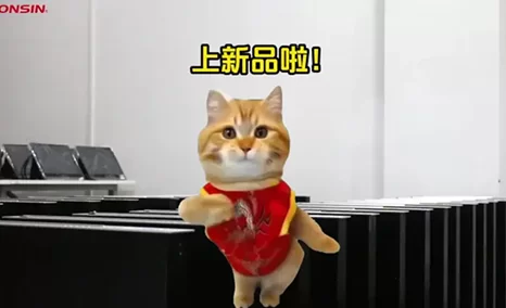 上新品啦！全新体验！