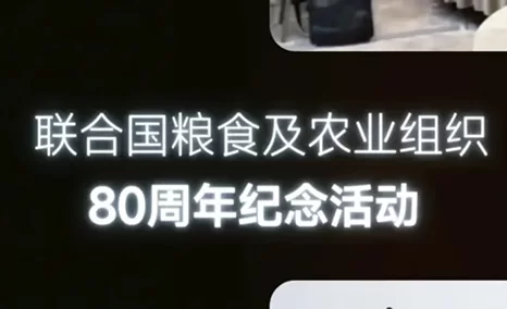 公信FS无线同传服务联合国粮农组织80周年活动